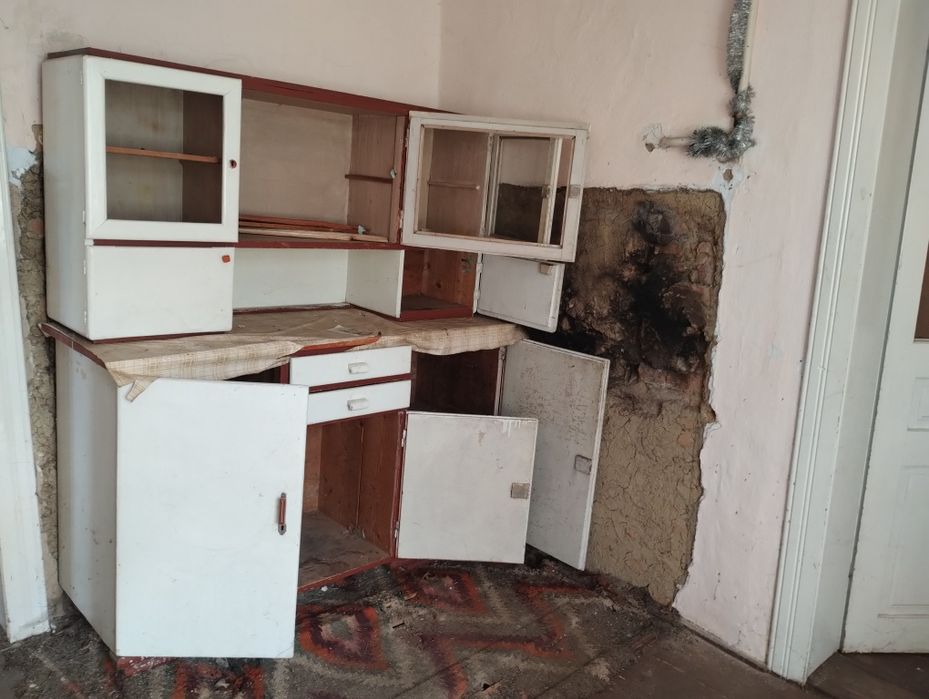 Будинок в Карпатах ( місто Косів)