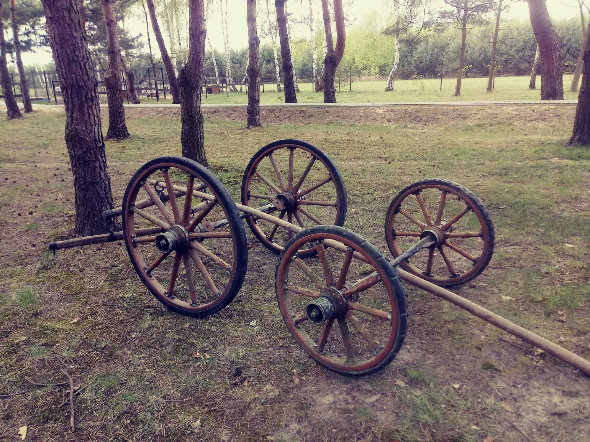 koła do bryczki, ozdoba ogrodu