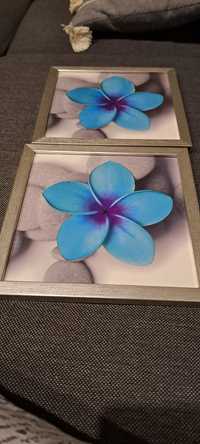 Obrazy niebieski kwiat
