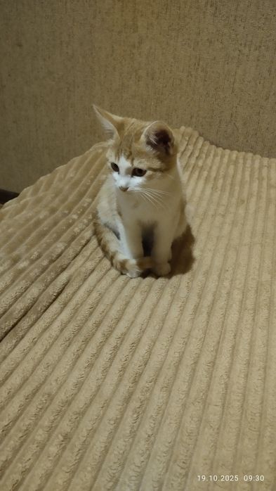 Детки ищут любящих родителей