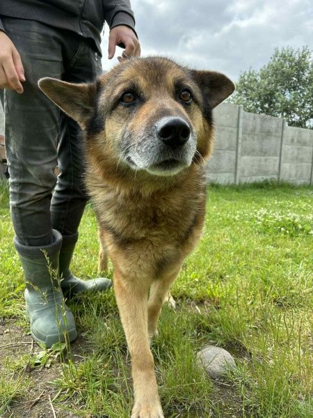 Haker do adopcji!