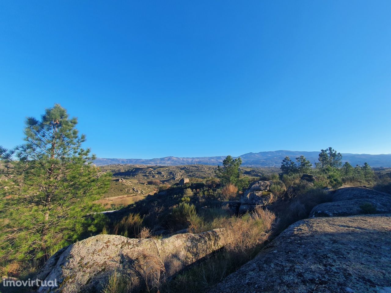 Quinta com casa em granito