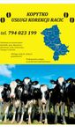 Profesjonalna Korekcja Racic Leczenie Kulawizny Wielbark i inne Gminy
