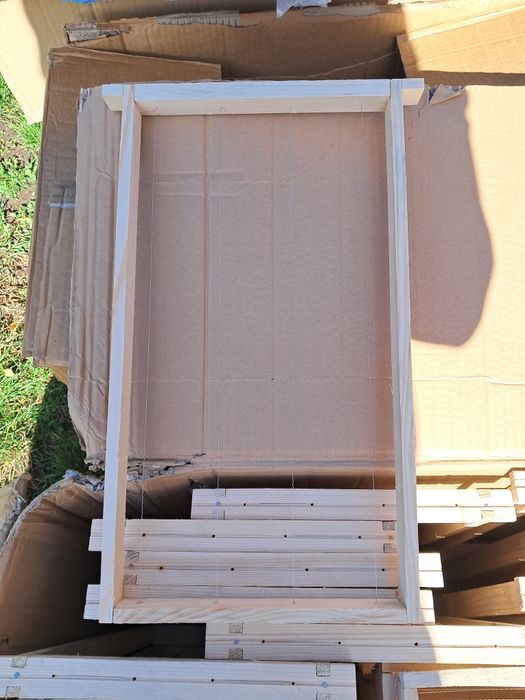 Ramki warszawska zwykla