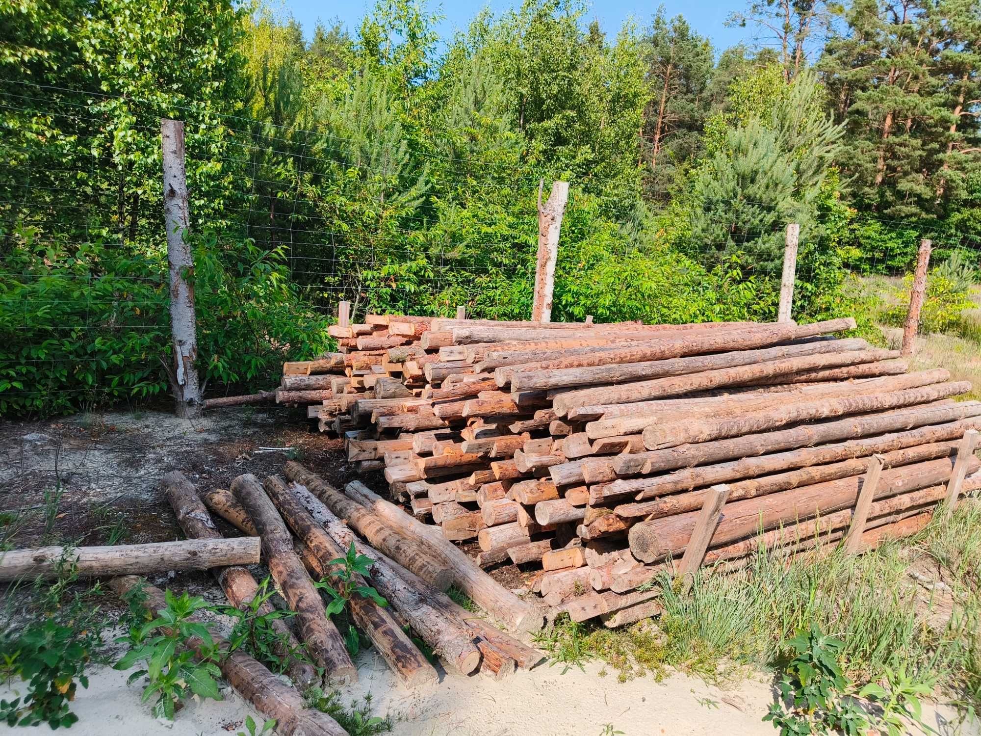 Stemple budowlane 400szt. 2,95 cm długości