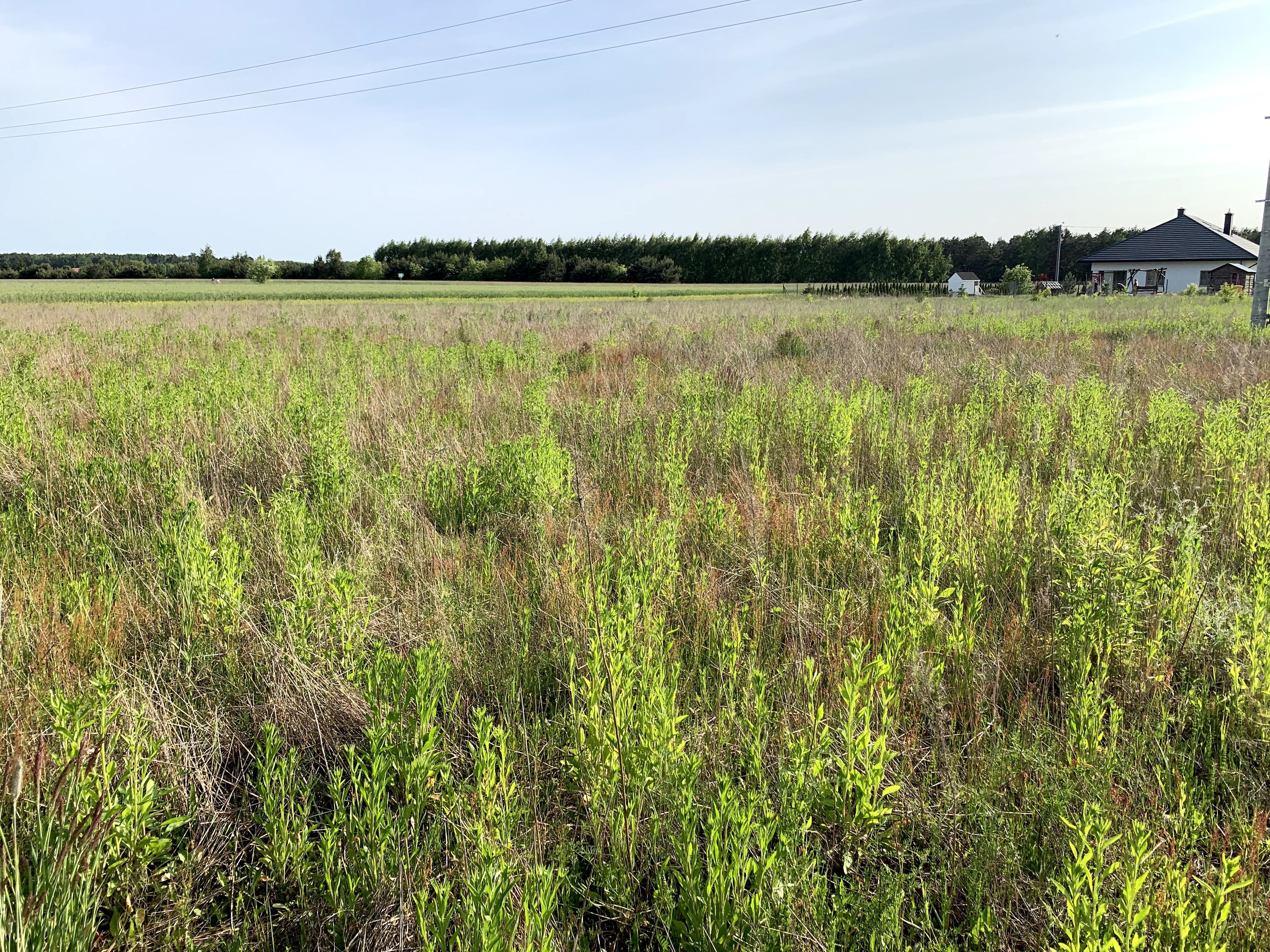 Twój dom w sercu Mazowsza – działka 1200m² w Lelewie blisko Wkry