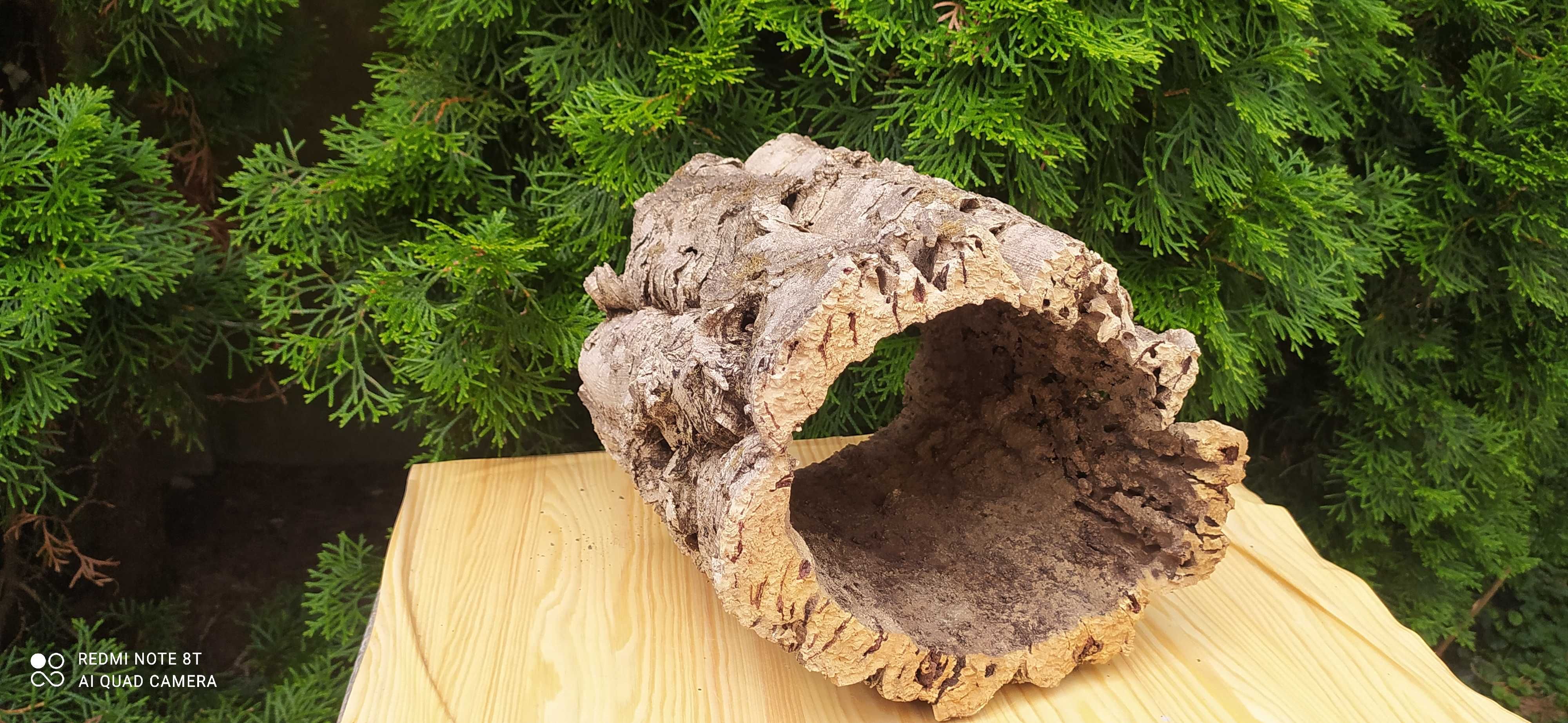 Grota z debu korkowego do akwarium-21 cm
