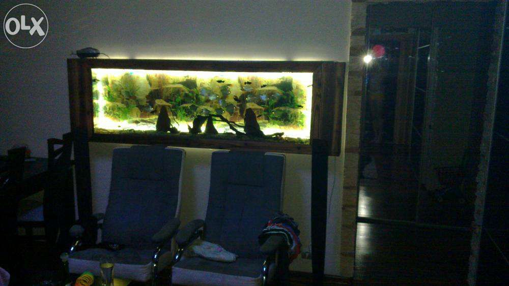 AKWARIUM ŚCIENNE AquaCool 87 litrów długość 130x50x15