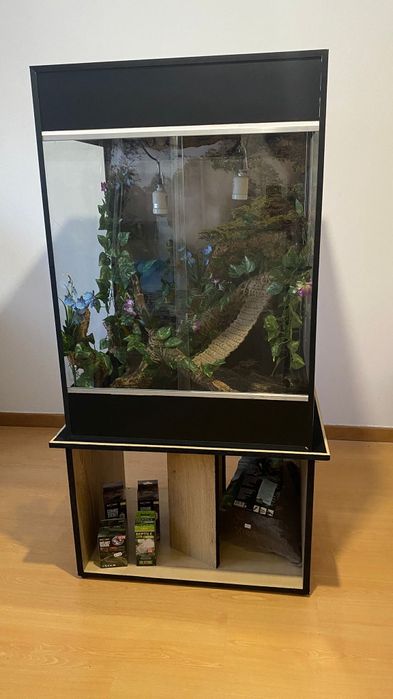 Terrário Repteis Novo