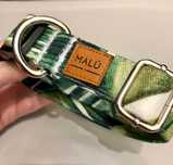 Coleira para Cão - Malu Pet Wear