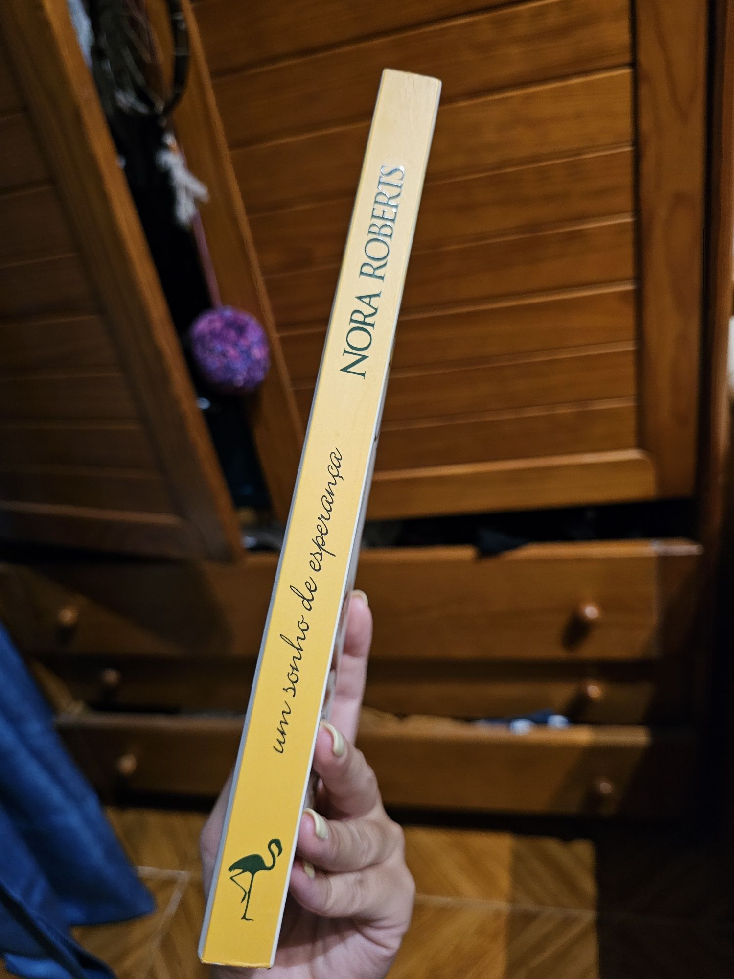 Nora Roberts - um sonho de esperança