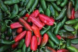 Перець Халапеньо насіння