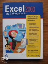 Excel 2000 dla zabieganych - Ron Mansfield