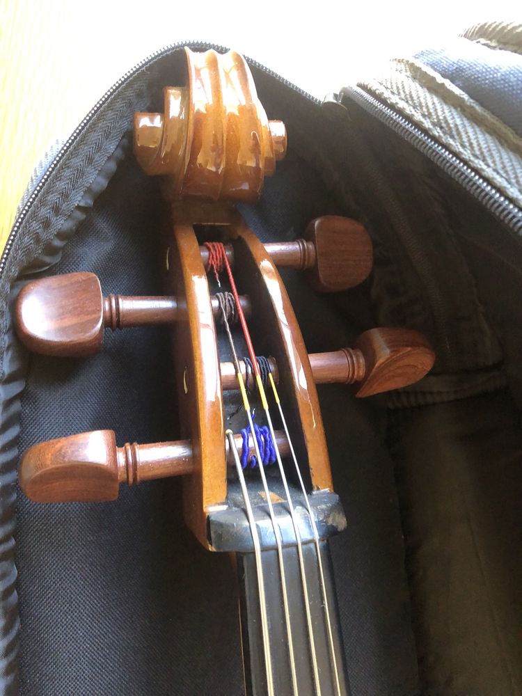 Violoncelo Stentor 3/4 em excelente estado