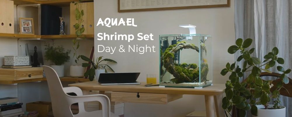 AQUAEL SHRIMP SET 30 Biały/Czarny DAY&NIGHT 29x29x35 30l