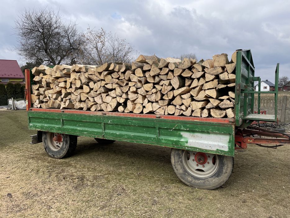 Suche Drewno opałowe bukowe