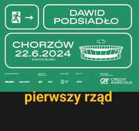 Bilet Podsiadło Chorzów 1 rząd 22.06.2024 sektor 13d