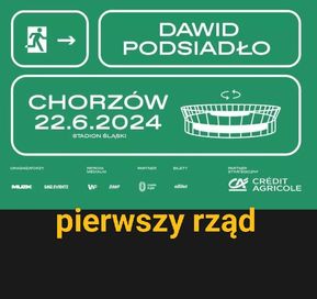 Bilet Podsiadło Chorzów 1 rząd 22.06.2024 sektor 13d