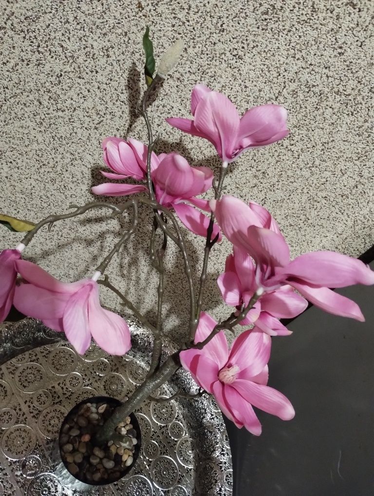 Sztuczna  magnolia w doniczce nowe