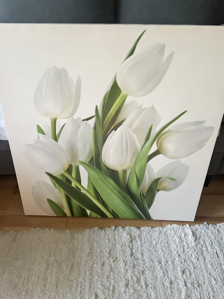 Obraz tulipany 80x80