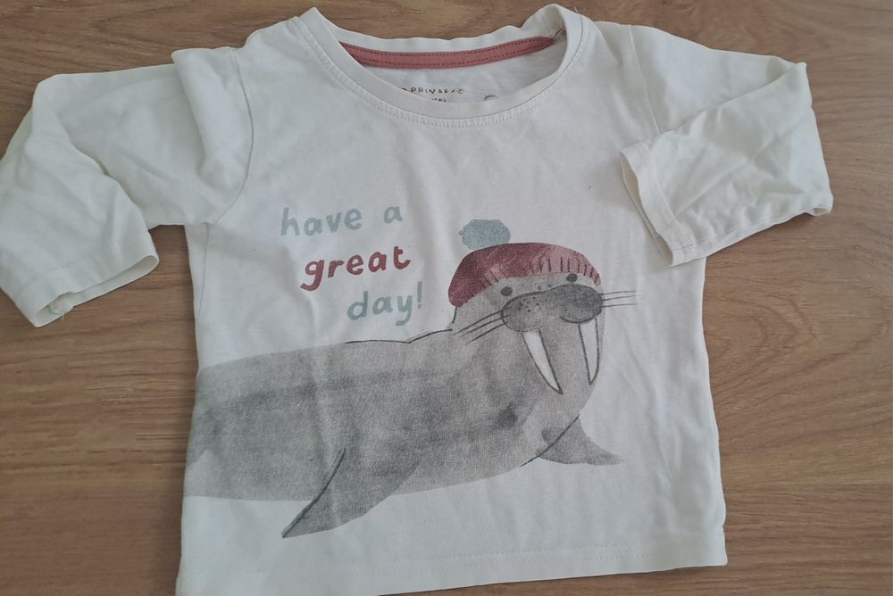 Lote t-shirts + Casaco 9-12 meses