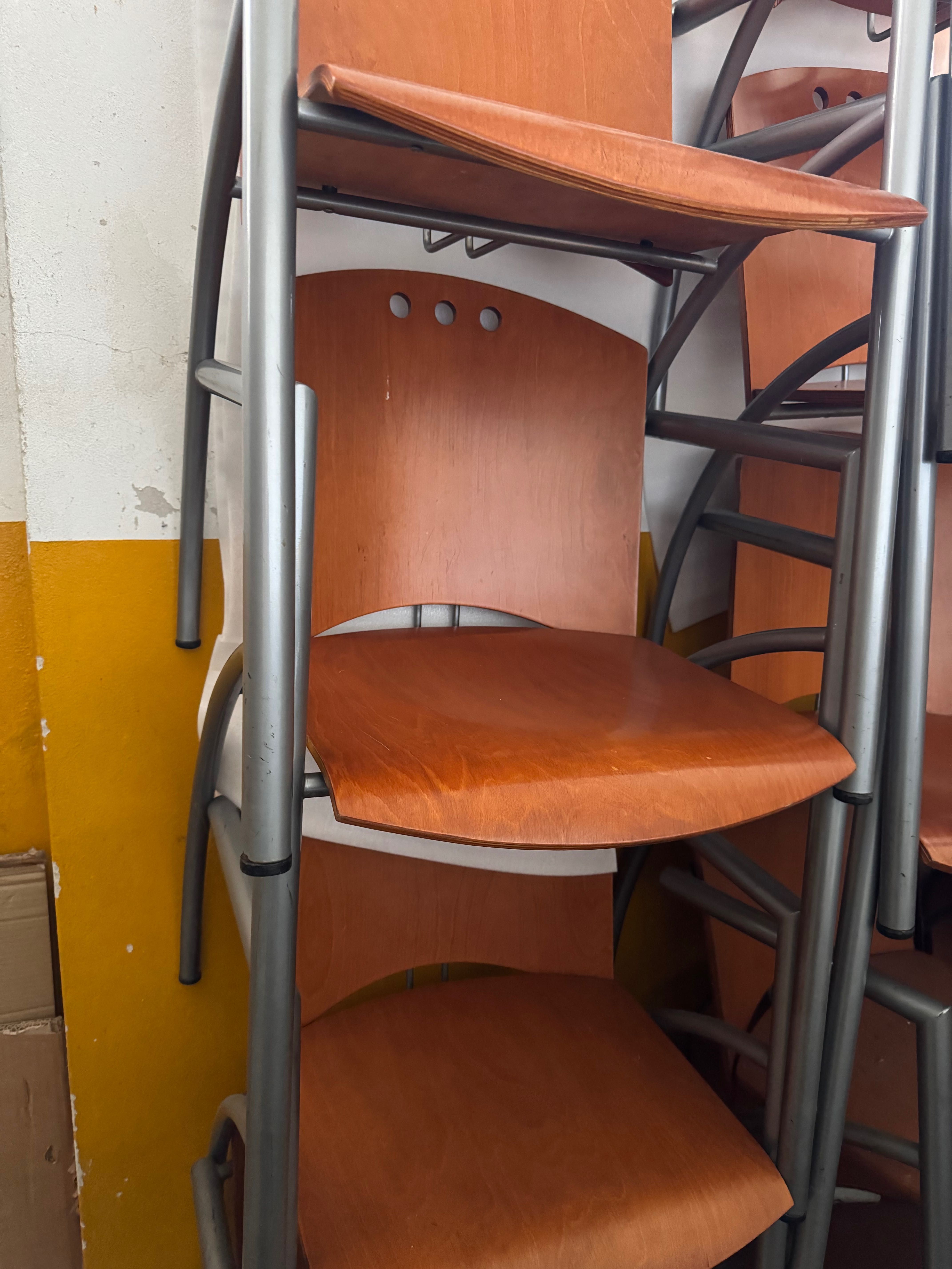 Lote de Cadeiras em faia