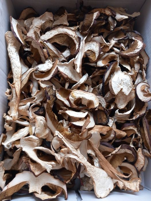 Borowik szlachetny suszony świeży 2024