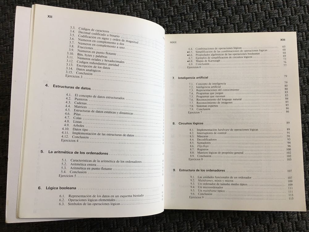 Conceptos de Informatica - Peter Bishop