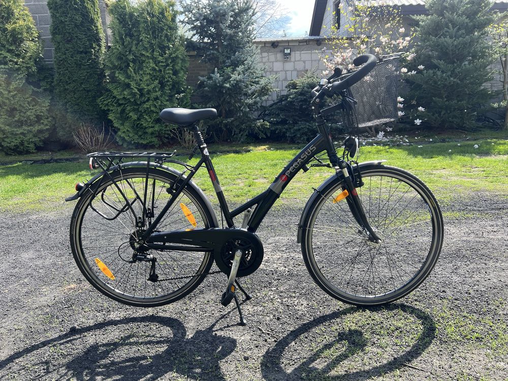 Rower marki Pegasus