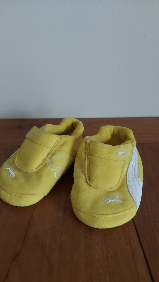 Puma urocze, miekkie niechodki linia Ferrari r 19