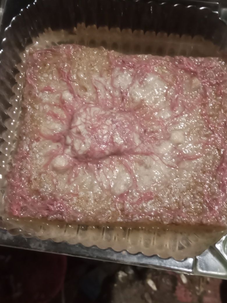 Трубочник ІЗЯ, домашній