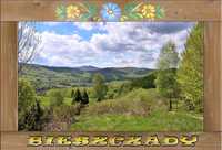 Magnes na lodówkę - Bieszczady