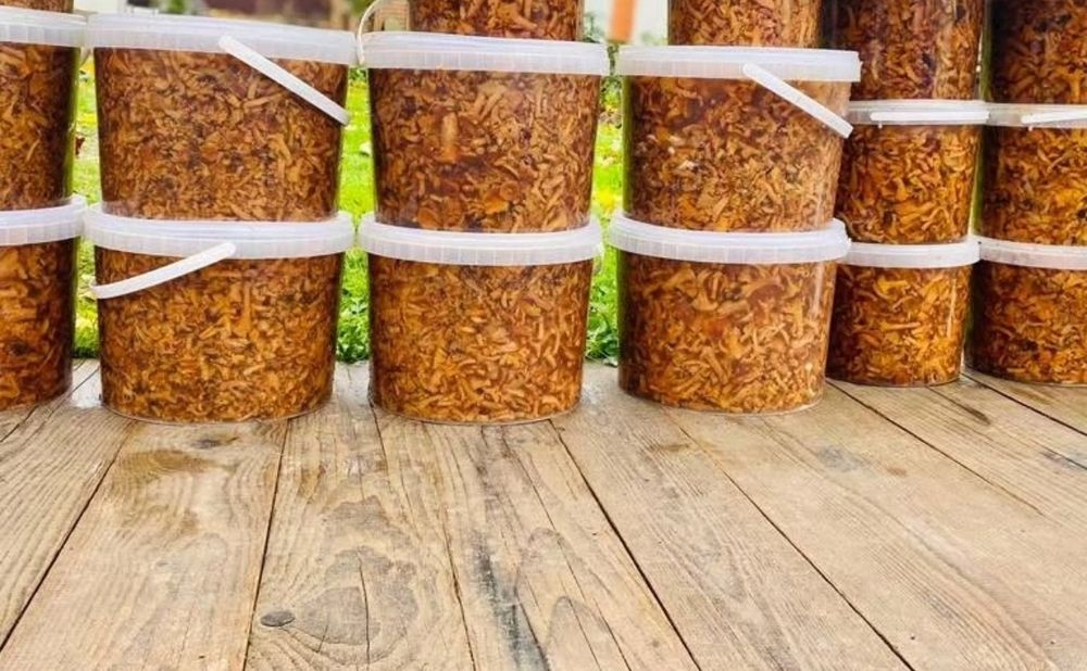 Мариновані та солені лисички білі опеньки маслюки