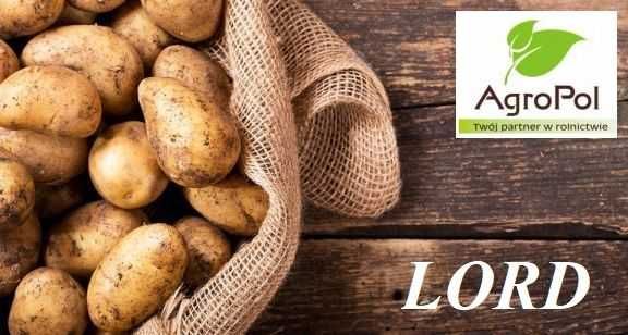 Ziemniak Sadzeniak LORD - wczesne sadzeniaki ziemniaka Zamarte