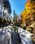 Noclegi ZAKOPANE Leśnik