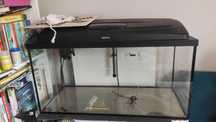 Akwarium 112l Aquel
