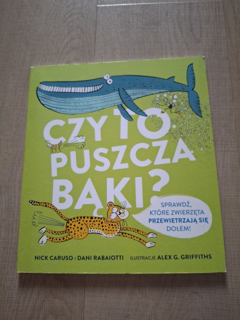 Czy to puszcza bąki? Courso, Rabaioti