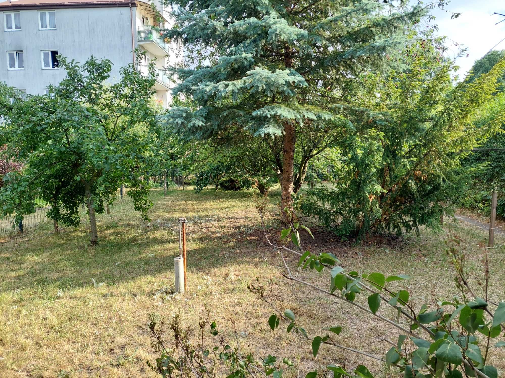 Sprzedam działkę ROD