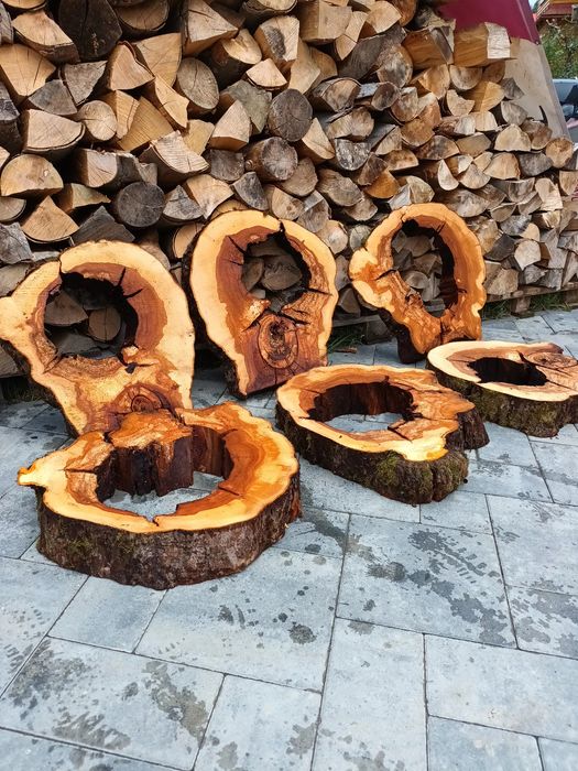 Drewno jabłoń plaster krążki drzewo owocowe śliwa grusza orzech lipa