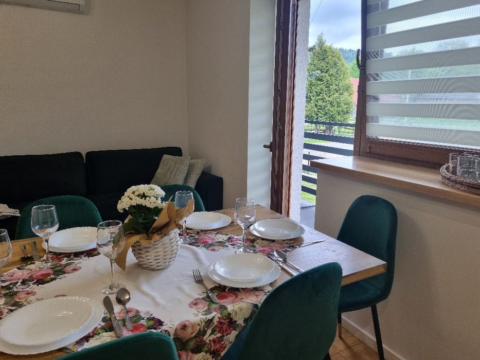 Apartament-NOWOŚĆ BALIA JACUZZI dom w górach, termy Chochołów, APARTAM