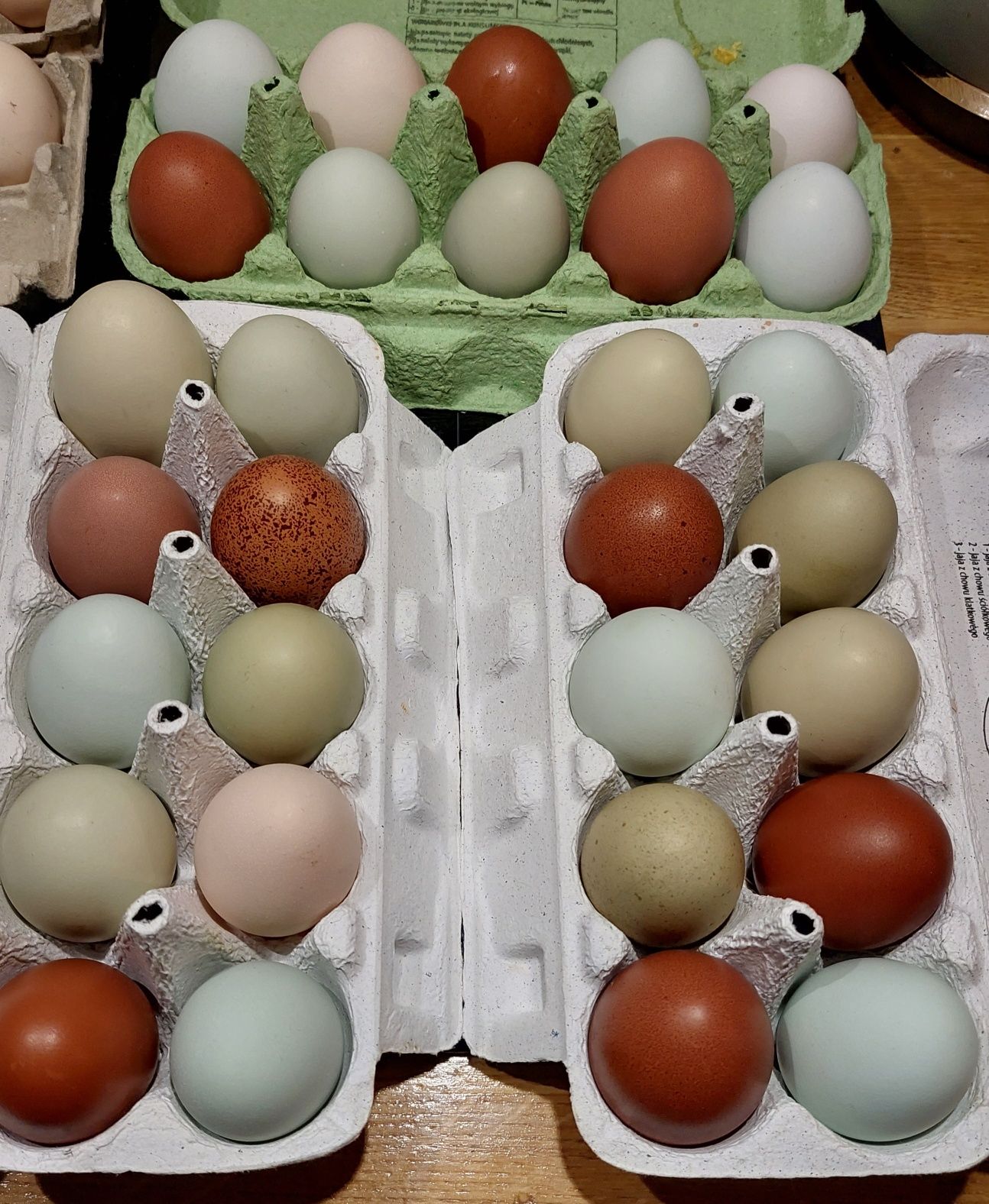 Jaja lęgowe mix kolorowe