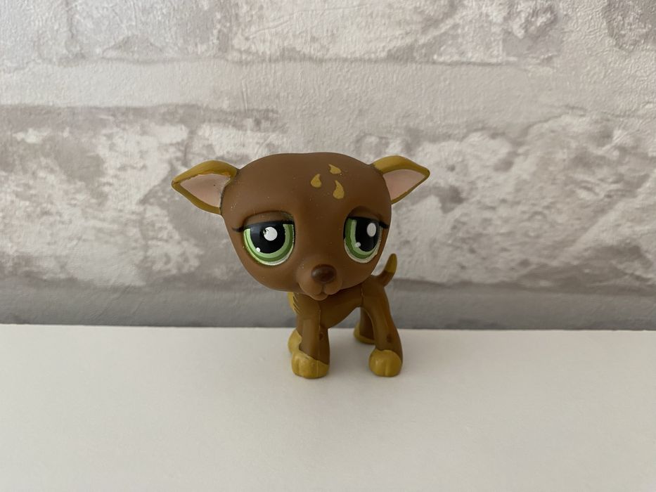 Littlest Pet Shop #1216 | Raro & Autêntico