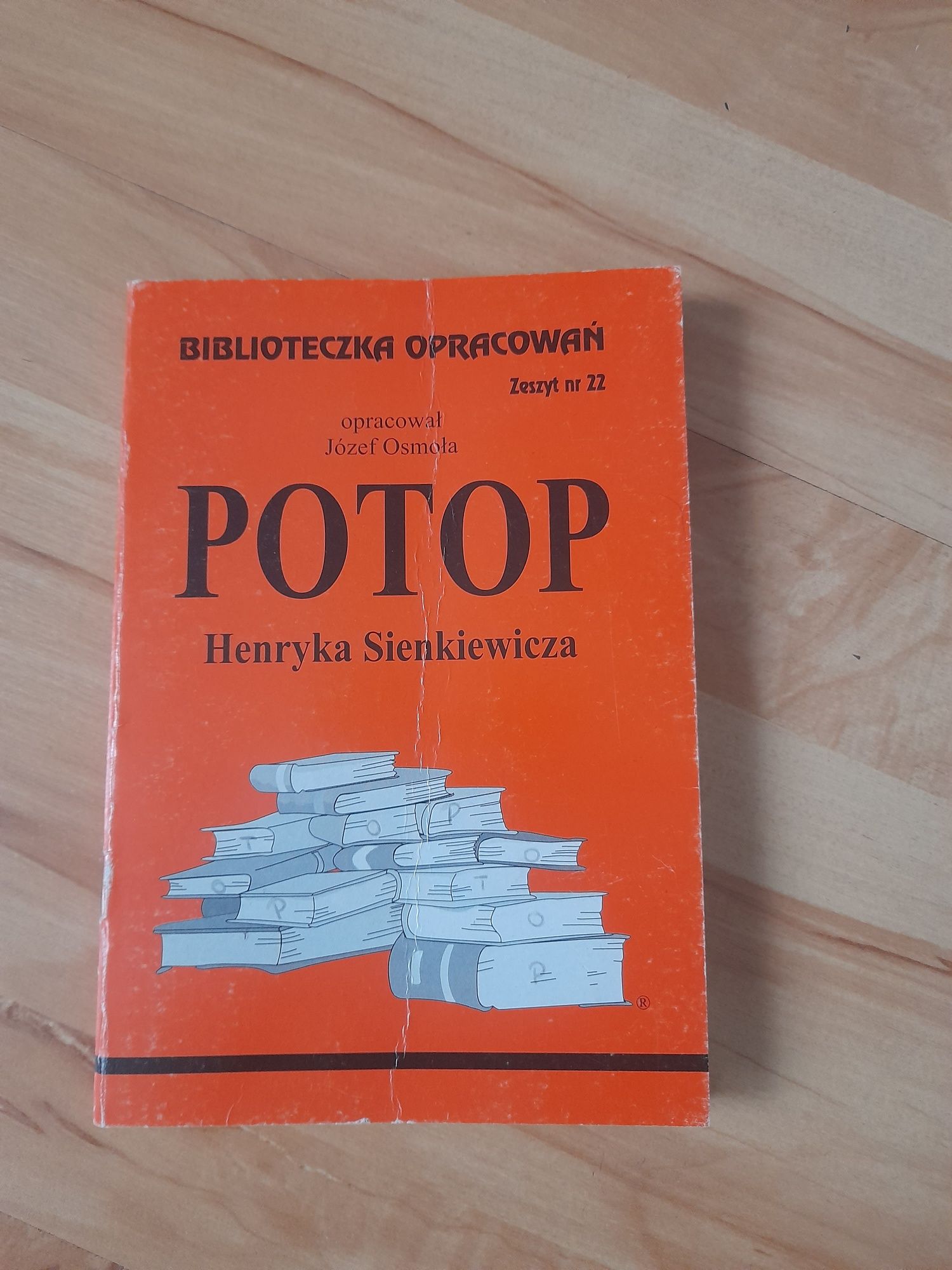 Biblioteczka opracowań: Potop