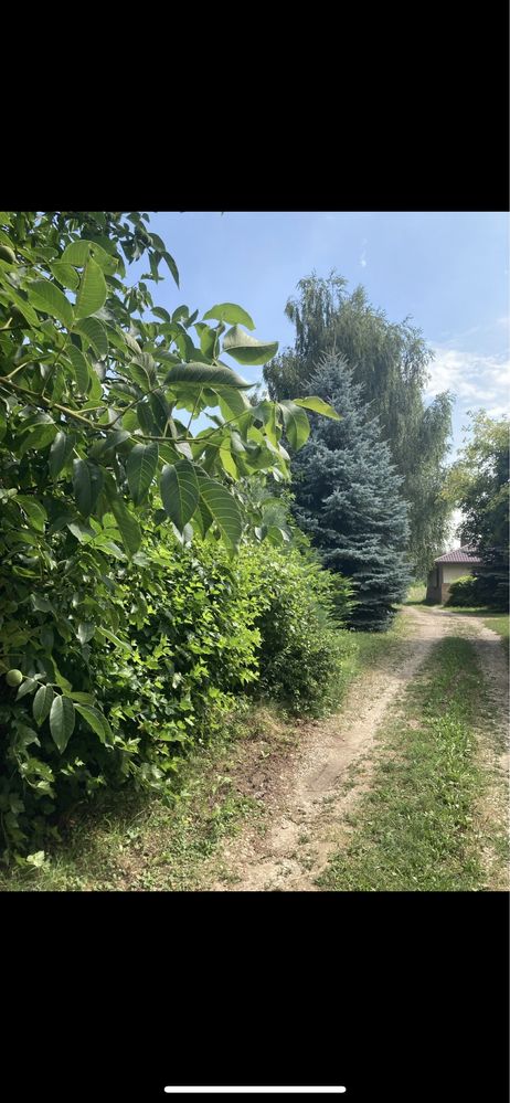 Dom parterowy 160 m² w Jastkowie – piękna, zalesiona działka 44 ary!