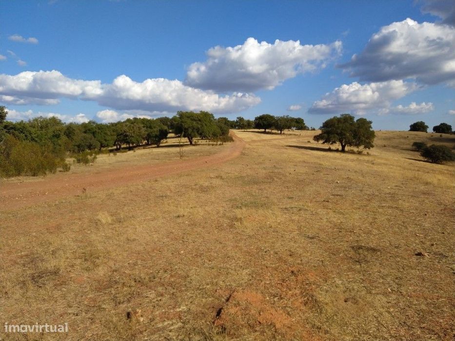 Herdade com 110 ha próximo da Vila de Redondo