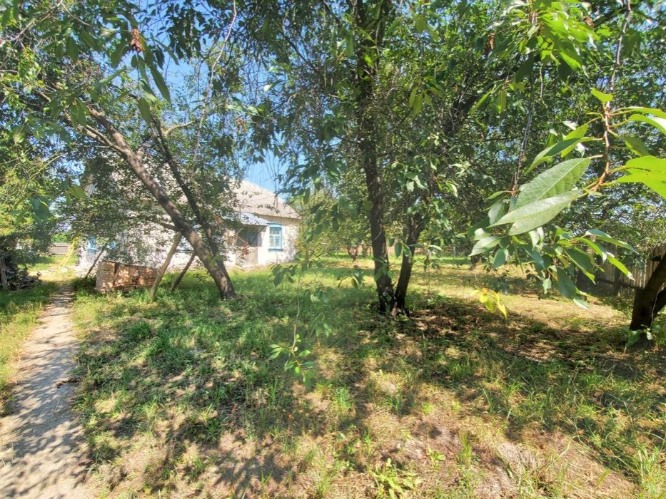 Продам дом в селе Червонагирка Макаровского района