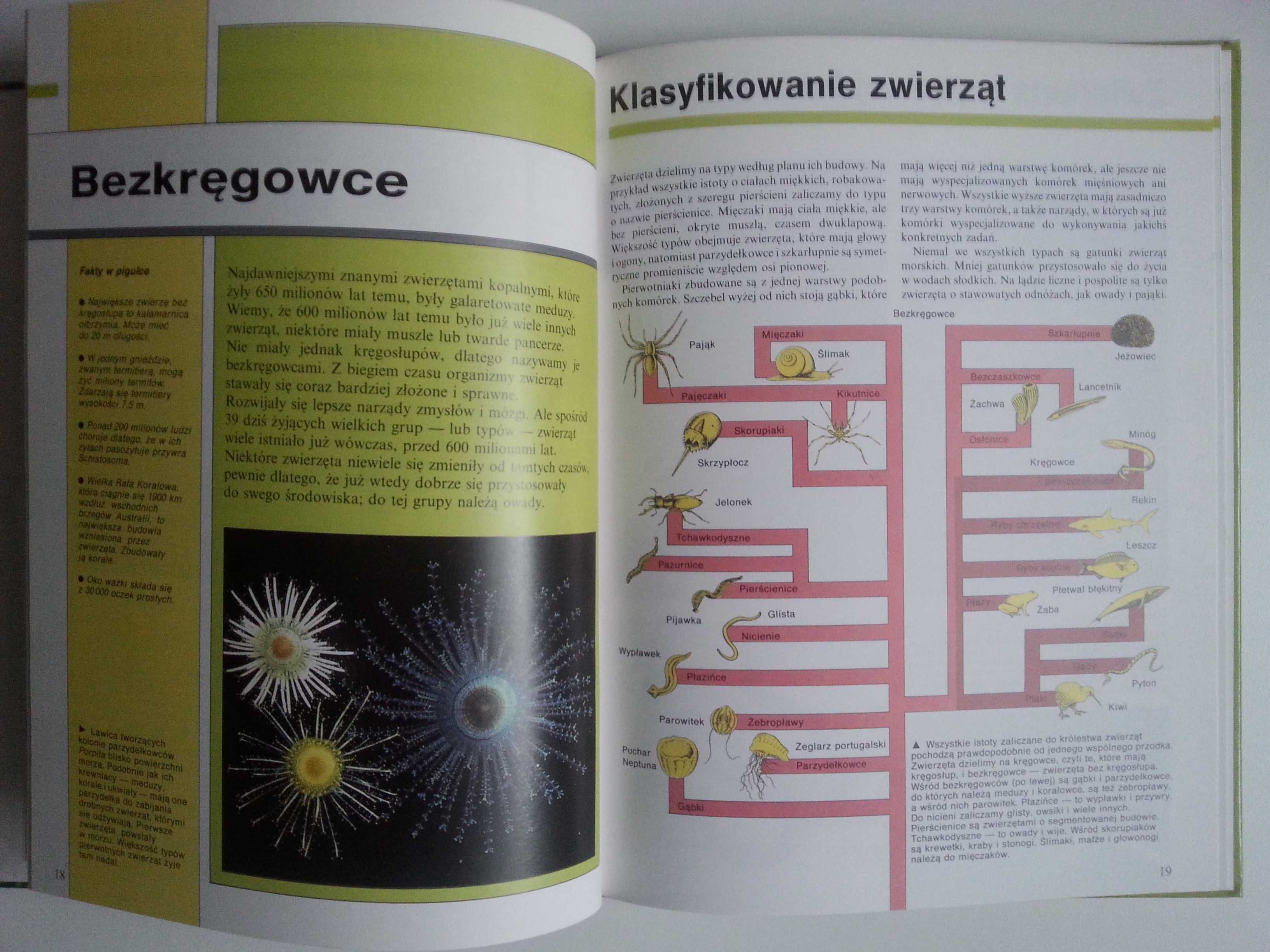 Encyklopedia Wiedzy I Życia - Rośliny i zwierzęta / Atmosfera i oceany