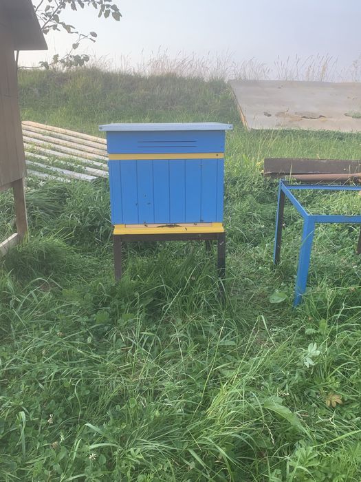 Wykonam ul wielkopolski otaz ul odkladowy