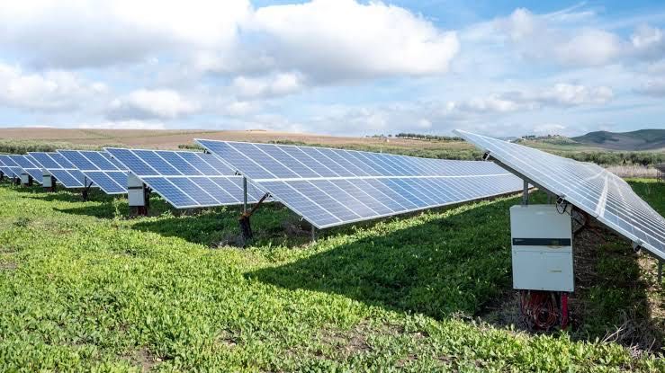Cravação de estacas para paineis fotovoltaicos, vedações, Etc.