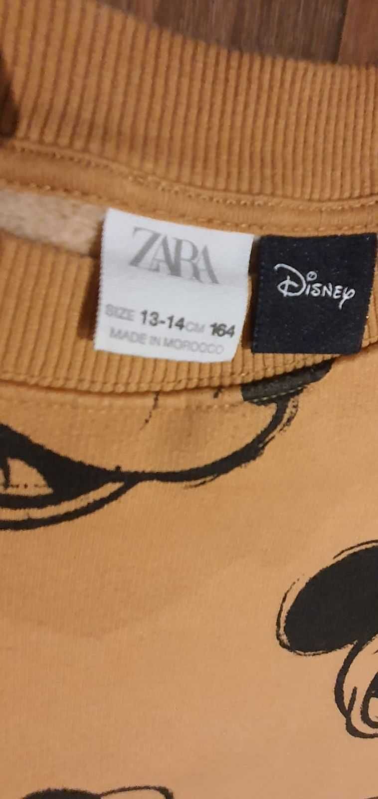 Bluza firmy ZARA na 164cm (13-14 lat)